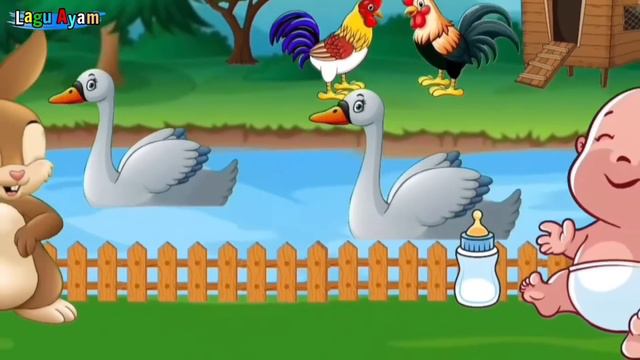 Kompilasi Lagu Anak - Lagu Anak Balita Terpopuler - Lagu Anak Anak - Lagu Ayam