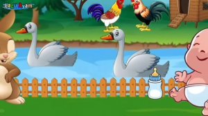 Kompilasi Lagu Anak - Lagu Anak Balita Terpopuler - Lagu Anak Anak - Lagu Ayam