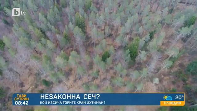 Тази сутрин: Поредна незаконна сеч край Ихтиман смотреть онлайн