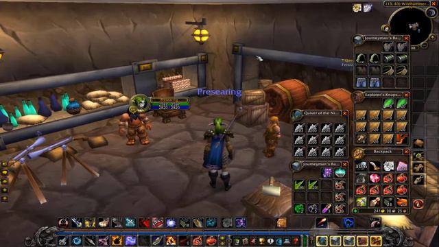 I Had To Train SIX PROFESSIONS Just To Get This - WoW Classic Ironman #4