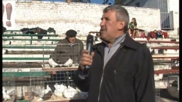 Выставка Голубей - город Киржач