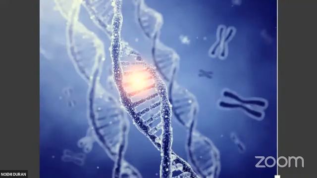 ESPAÑOL (5/16) LA TEORÍA DE LA EVOLUCIÓN - FUNDAMENTOS DE FE Y CIENCIA смотреть онлайн