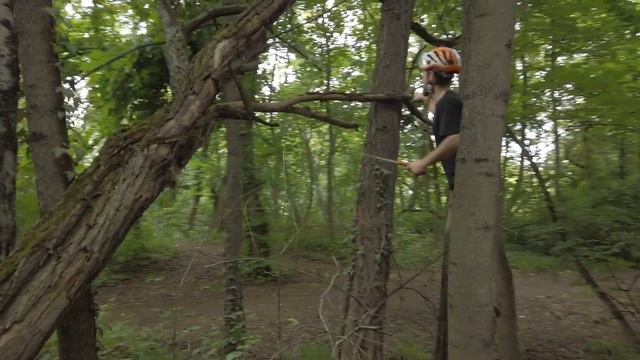 Антони Диков. Арборист. смотреть онлайн