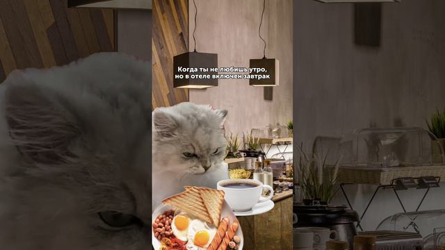 Когда ты не любишь утро, но в отеле включен завтрак смотреть онлайн
