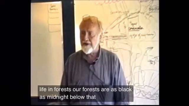 Light in forests - Bill Mollison смотреть онлайн