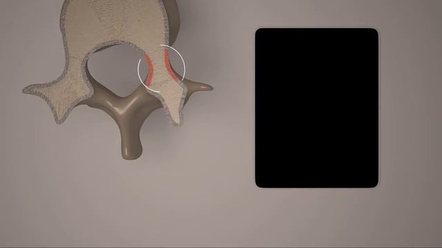 Amir Manbachi смотреть онлайн