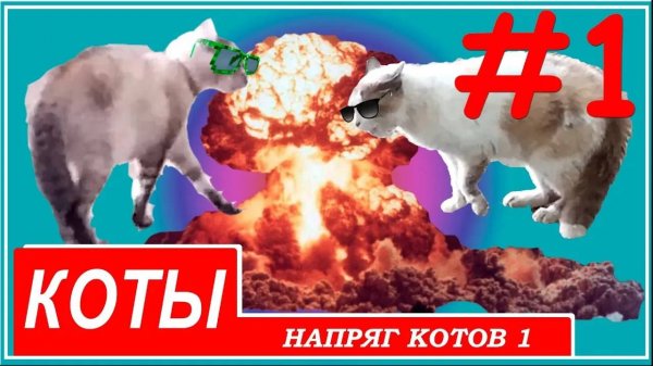 Напряг котов_Strained cats_紧张的猫_तनावग्रस्त बिल्लियाँ_Напружыў катоў_Мысықтарды қатайту_Напряг котів