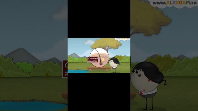 Почему появляются прыщи? смотреть онлайн