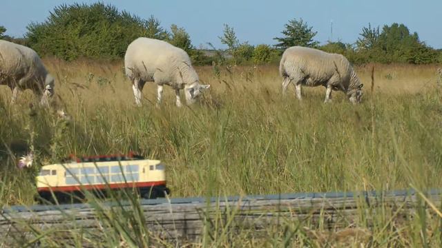 LEGO DB Class 103 смотреть онлайн