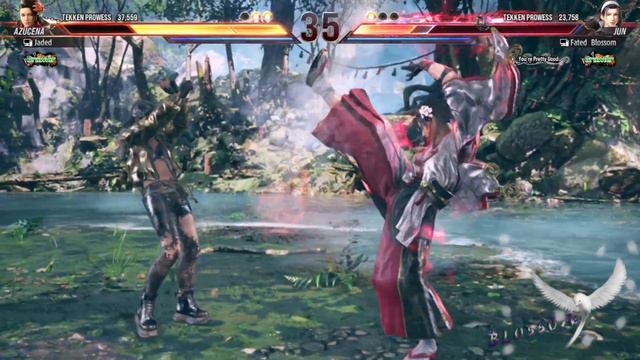 Tekken 8 - Closed Beta Test | Azucena vs Jun Kazama /3 смотреть онлайн
