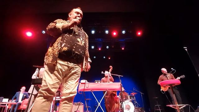 Olle Jönsson & Patriks Combo feat. Kingen, Tommy Andersson: De sista ljuva åren смотреть онлайн