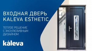 Входные двери в коттедж Kaleva Esthetic