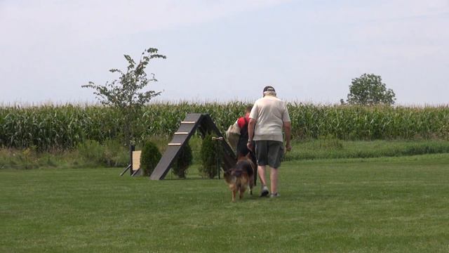 SSGSSC смотреть онлайн