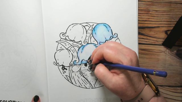 Adult Colouring From the Beginning.... How I choose colours.... смотреть онлайн