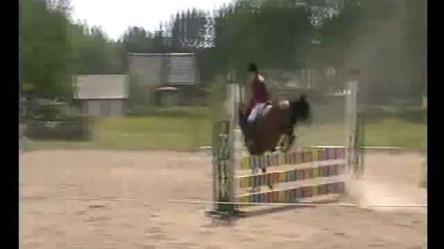 Lou & Daisy Red♥ (VINST) смотреть онлайн