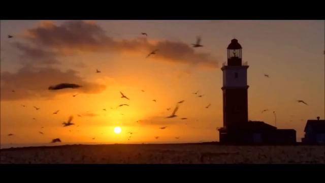 Enya - Echoes In Rain (DRIFTLESS Tropical Remix) смотреть онлайн