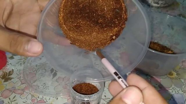 Sling Rehousing (Tagalog) ft T Albo смотреть онлайн