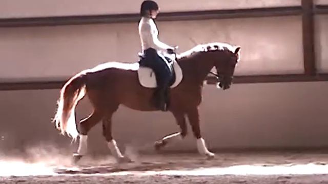 Gezelle. Rider - Heather Sanders смотреть онлайн