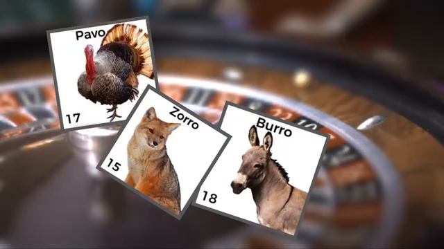 ¿QUÉ SALIÓ? VIDEO OFICIAL. LOS ANIMALITOS - JOSEITO ✔️ смотреть онлайн