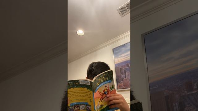 Seaden’s World - Reading “ Magic Tree House” By Mary Pope Osborne смотреть онлайн