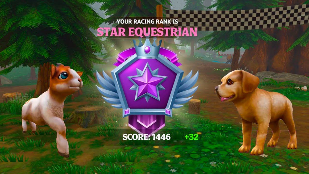 Петы, гонки и сундуки  Star Equestrian Horse Ranch