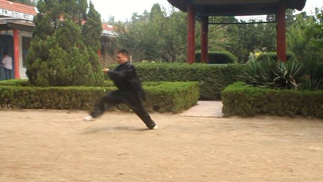 The Young Baji Quan Practitioner Episode 5 - Leo смотреть онлайн