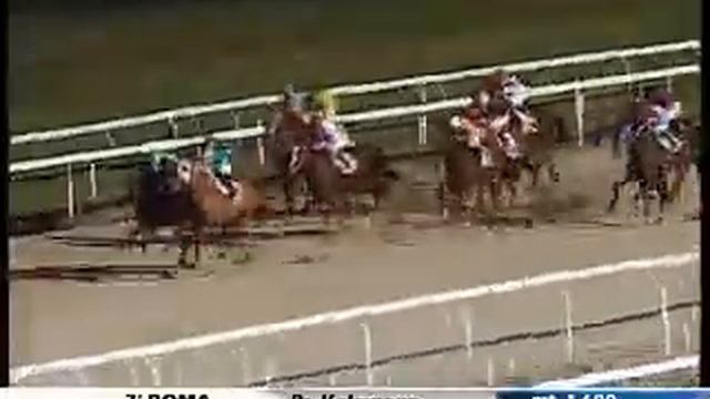 04/01/2011, Roma , Premio Kalamoun Tris... смотреть онлайн