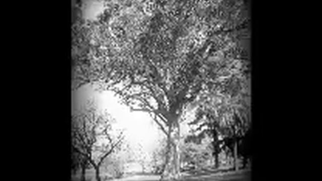 Fairuz - zourouni-فيروز زرونى смотреть онлайн