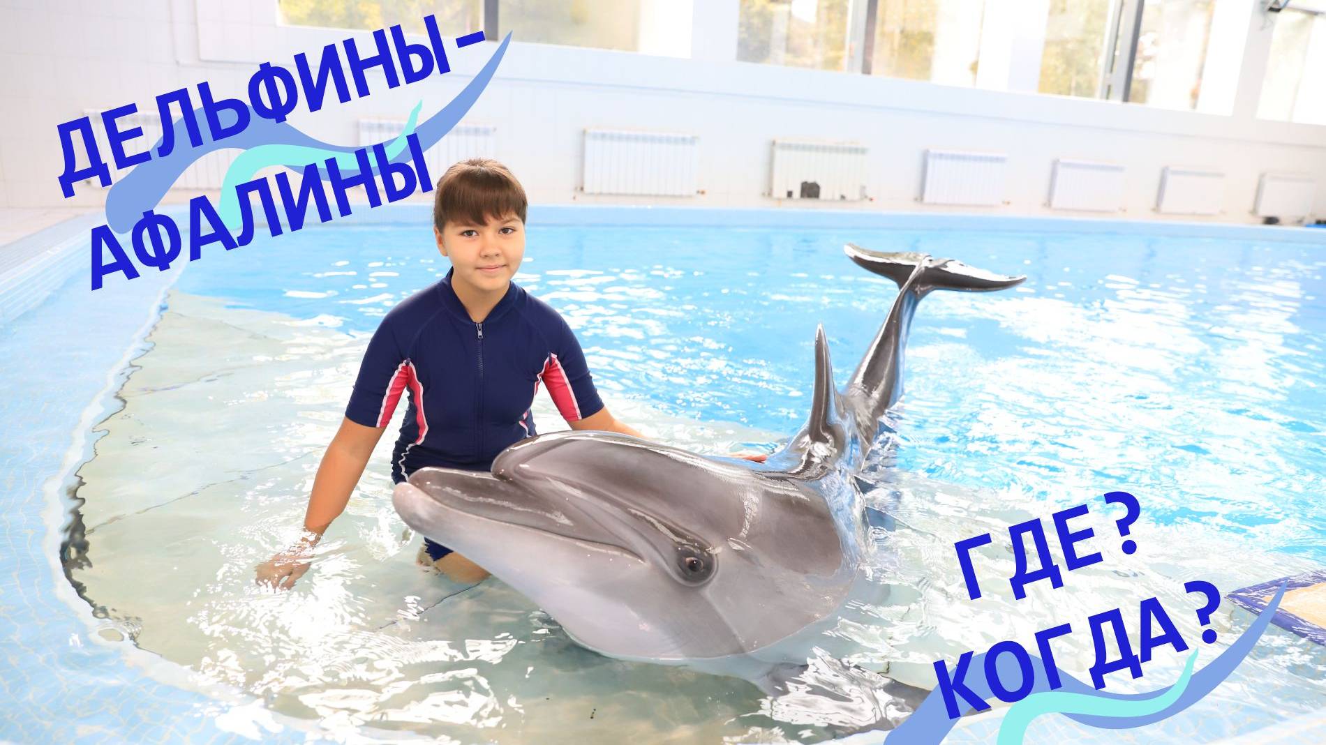 Дельфины смотреть онлайн