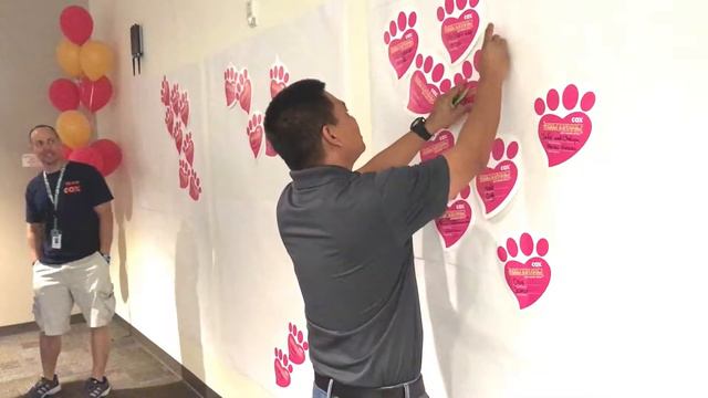 Cox LV kicks-off pet needs drive with Doggie Ambassador смотреть онлайн