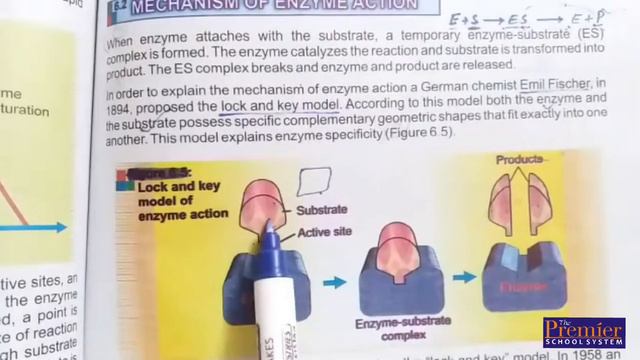 9th Class Biology - Lecture 6 - Chapter no. 6 смотреть онлайн
