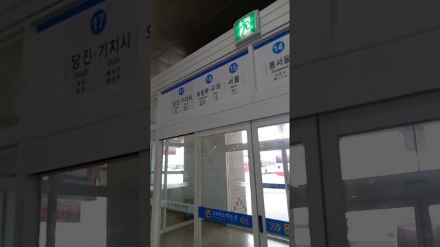 Очередной путешественник