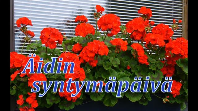 Mauri Talvitie - Äidin Syntymäpäivä