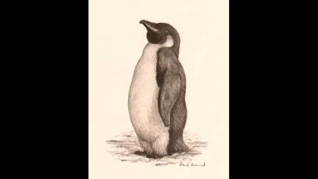 PIPO DEN LILLE PINGVIN - Buster Larsen med Henry Hagemanns orkester 1974 смотреть онлайн