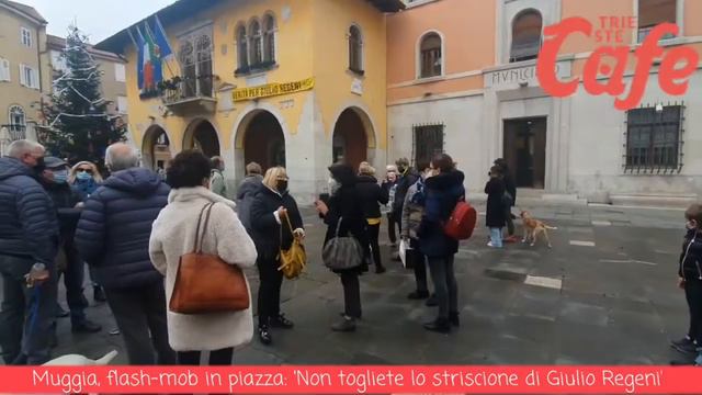 Sit-in di protesta per Giulio Regeni | Le mie dichiarazioni su Trieste Cafe 🎙️ (29/12/2021) смотреть онлайн