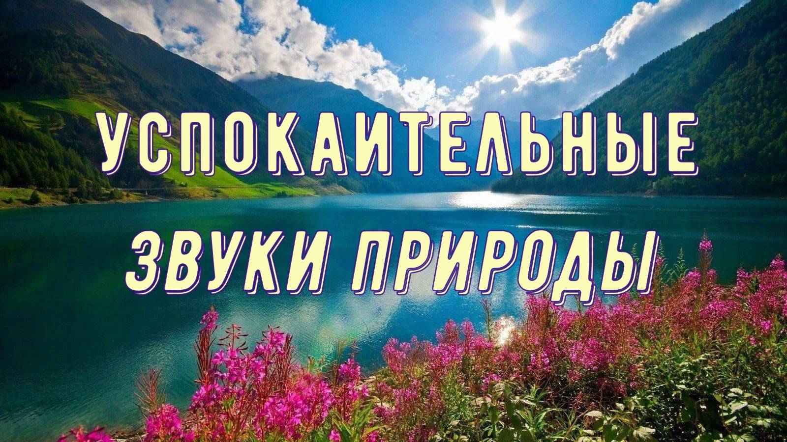 Звуки природы смотреть онлайн