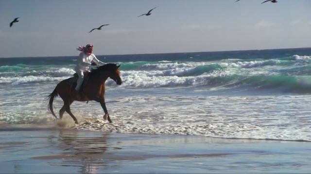 مشاري العفاسي بنات الريح للشاعر الأمير خالد الفيصل смотреть онлайн