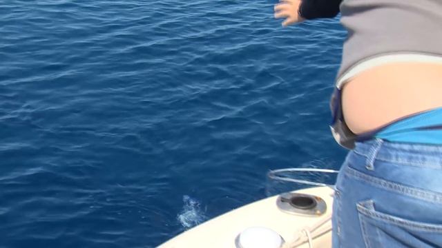 Trabucco TV - BOLENTINO A SCARROCCIO di Saverio Rosa смотреть онлайн