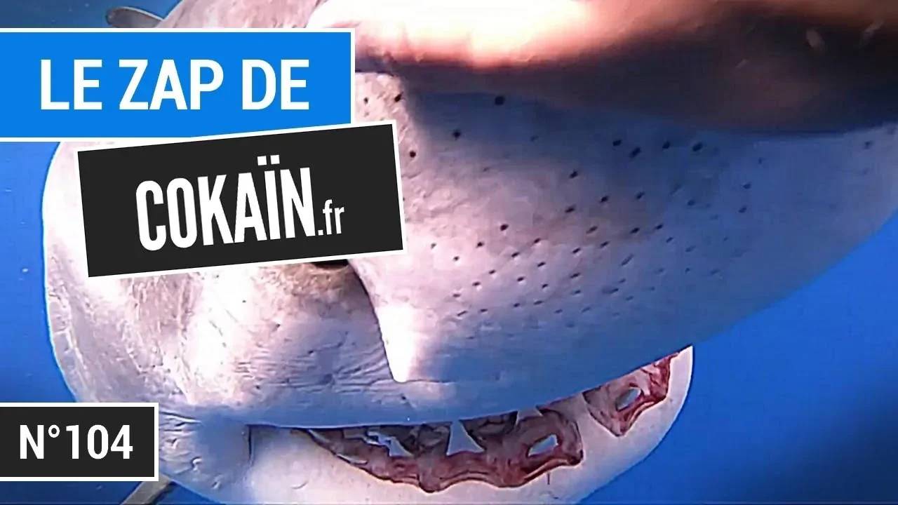 Le Zap De Cokaïn.fr N°104