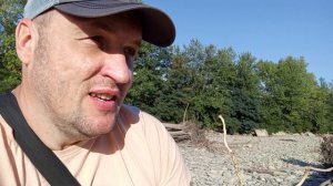 ищем корягу для аквариума