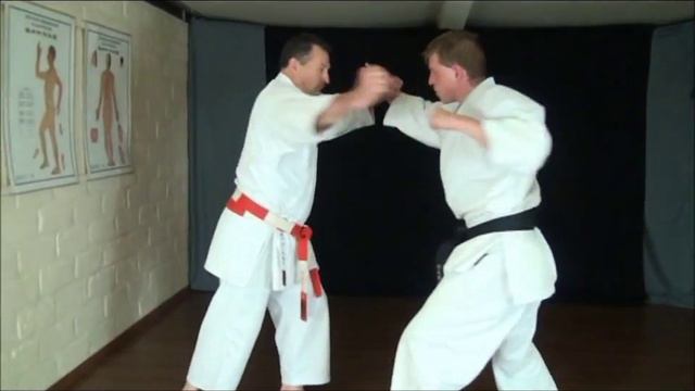 Hubert Laenen Kyoshi "morote uke" bunkai Heian nidan смотреть онлайн