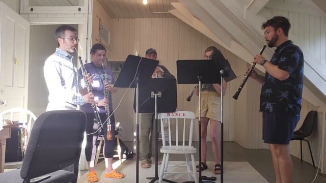 Wii Theme, Arranged by Kaden Klein for 3 oboes and 2 English Horns смотреть онлайн