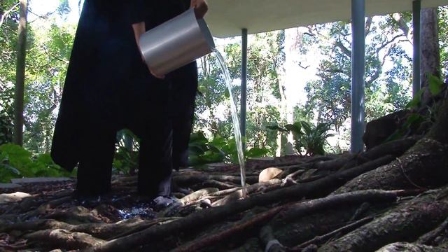 Oficina Casa De Vidro (Lina Bo Bardi) - Teatro Oficina