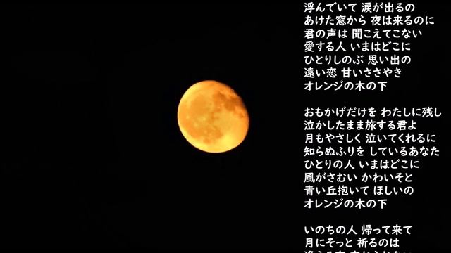 吉永小百合・・オレンジの木の下で смотреть онлайн