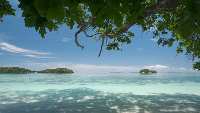 Tropical Beach - Gentle Ocean Wave Sounds - Peaceful Wild Island - Relaxing Nature Video смотреть онлайн
