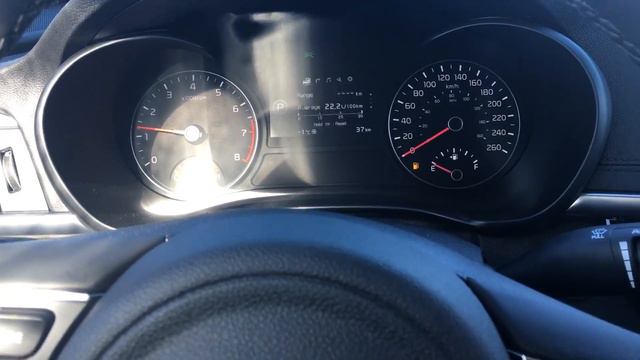Optima for raymond смотреть онлайн