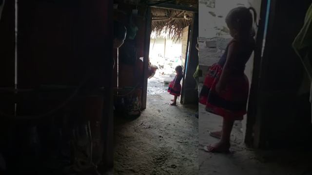 Experiencing Belize 2019 смотреть онлайн