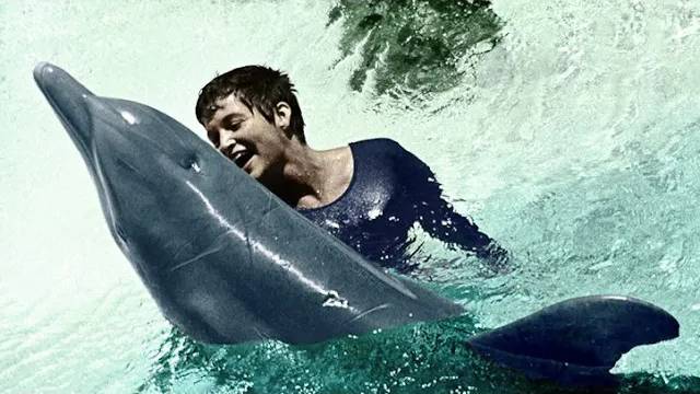Интимная связь с дельфином: шокирующая история межвидовых отношений смотреть онлайн
