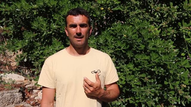 TEST WING FOIL : DUOTONE UNIT 2 & UNIT DLAB (Aluula) смотреть онлайн