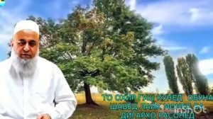 ХОЧИ  МИРЗО  РАМАЗАН  ,, марта 2024